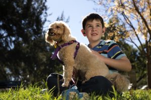 Boy with dog