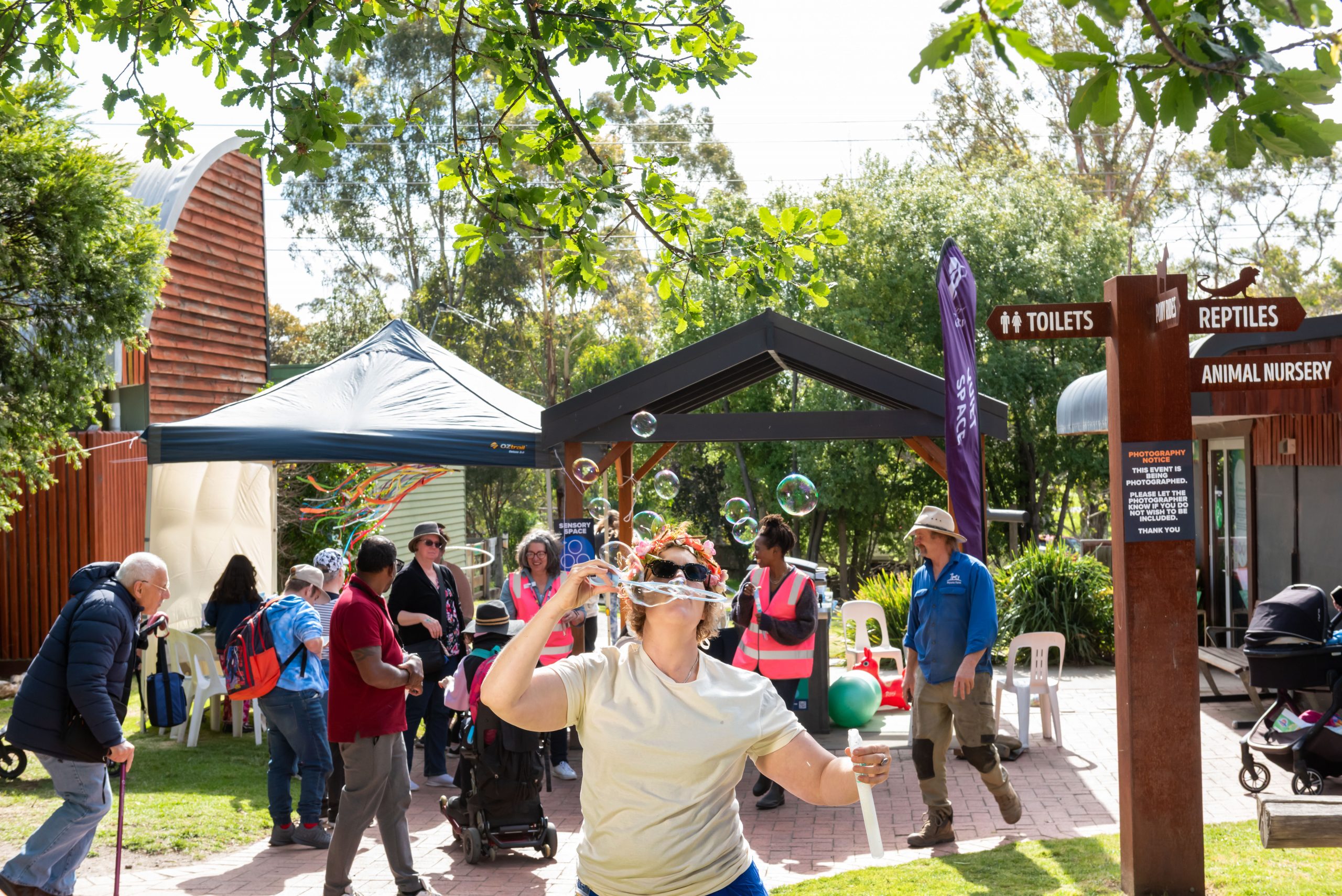 Disability at Dusk for IDPwD